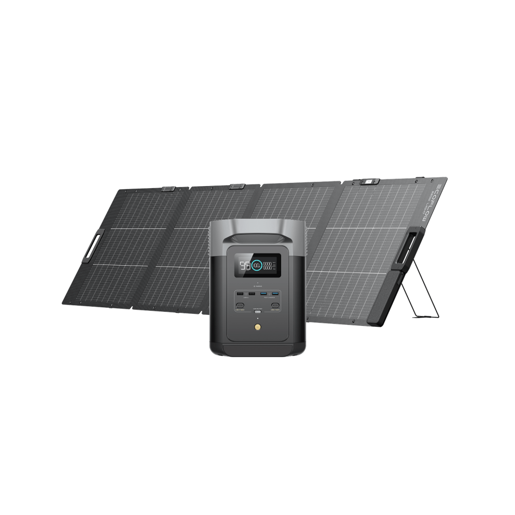 Bundle: DELTA 2 + 220 W panel